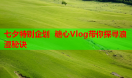 七夕特别企划 糖心Vlog带你探寻浪漫秘诀