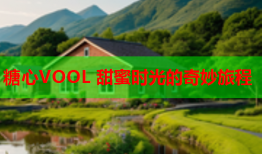 糖心VOOL 甜蜜时光的奇妙旅程