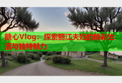 糖心Vlog：探索丽江夫妇的精彩生活与独特魅力