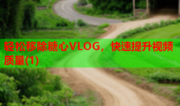 轻松移除糖心VLOG，快速提升视频质量(1)