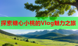 探索糖心小桃的Vlog魅力之旅