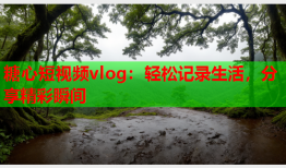 糖心短视频vlog：轻松记录生活，分享精彩瞬间