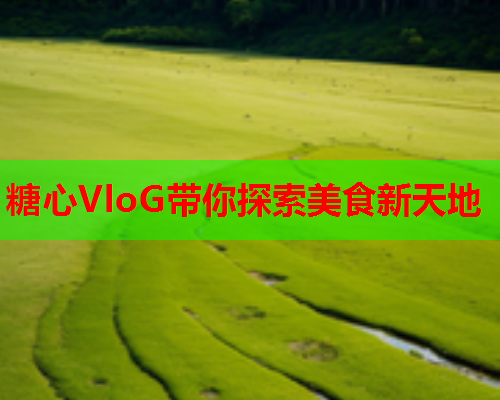 糖心VloG带你探索美食新天地