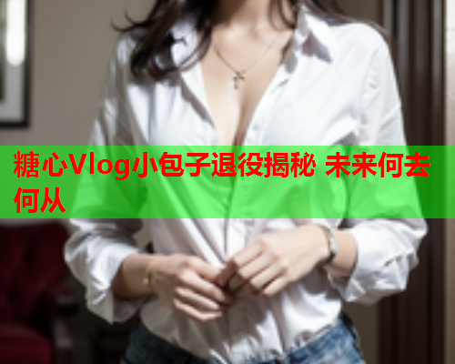 糖心Vlog小包子退役揭秘 未来何去何从