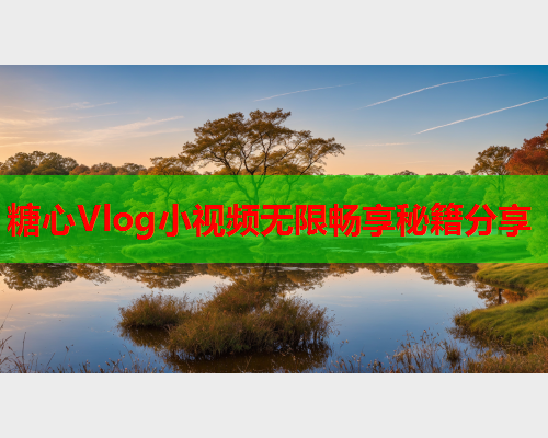 糖心Vlog小视频无限畅享秘籍分享